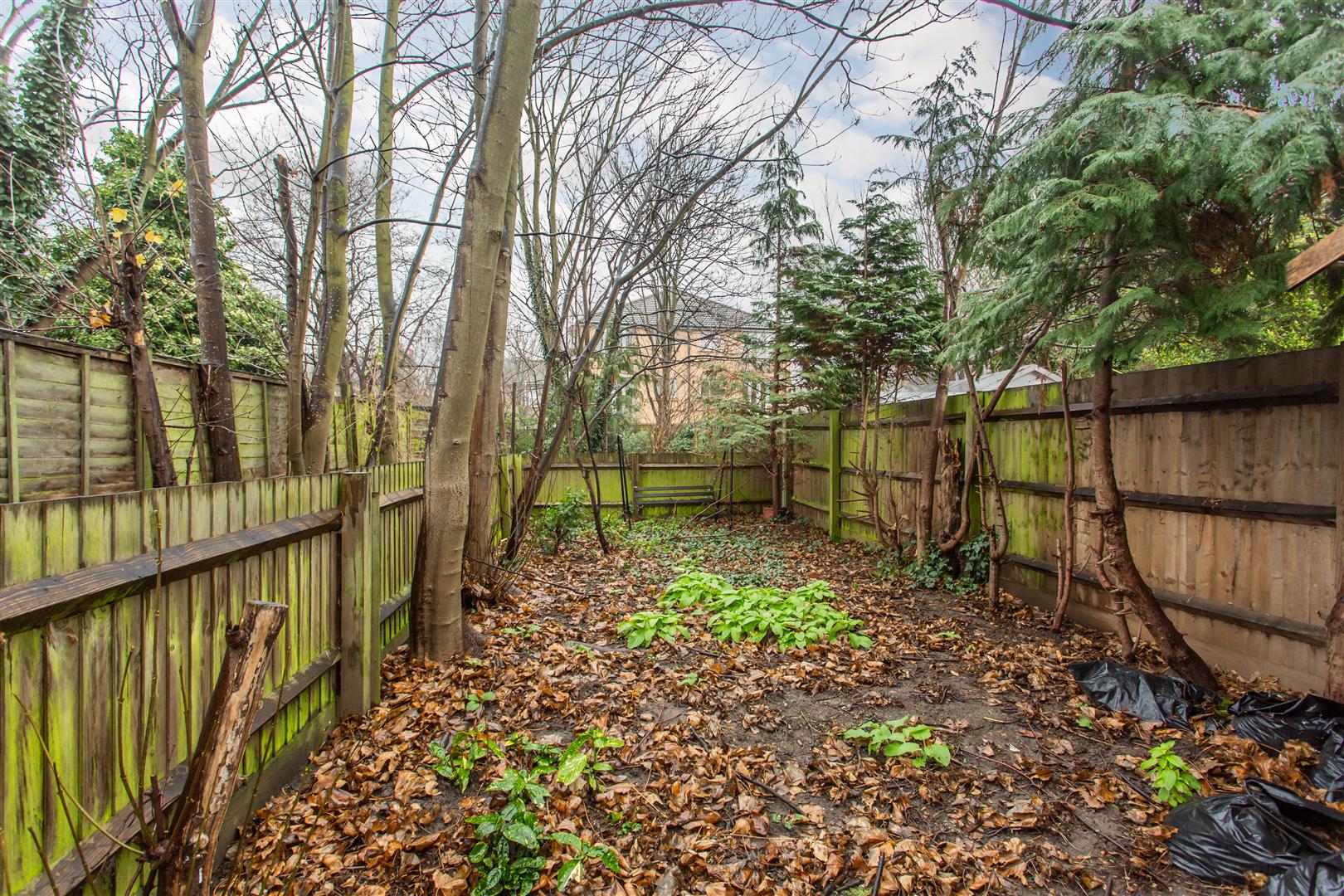 Clova Road, Forest Gate
